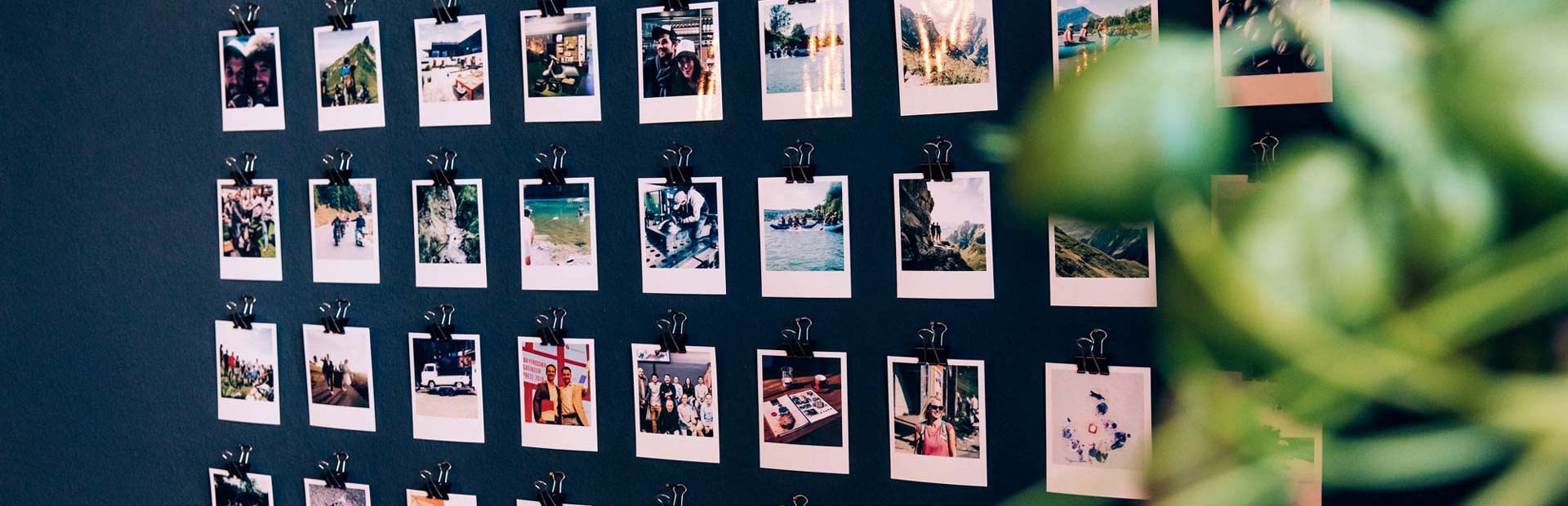 a wall with pictures hanging on it